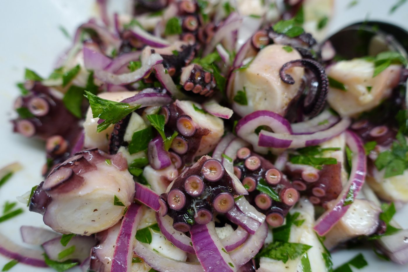 Oktopus-Salat mit roten Zwiebeln und Kräutern